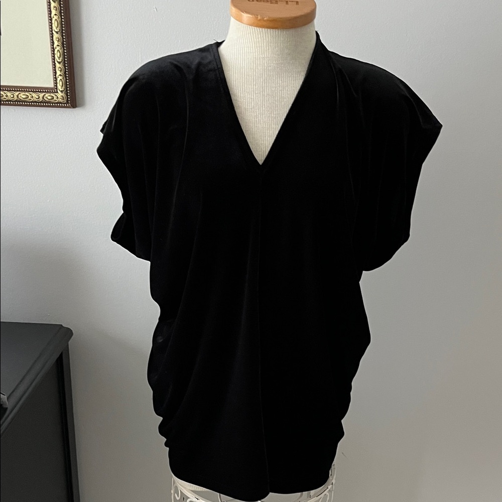 Lands End Stretch velvet top